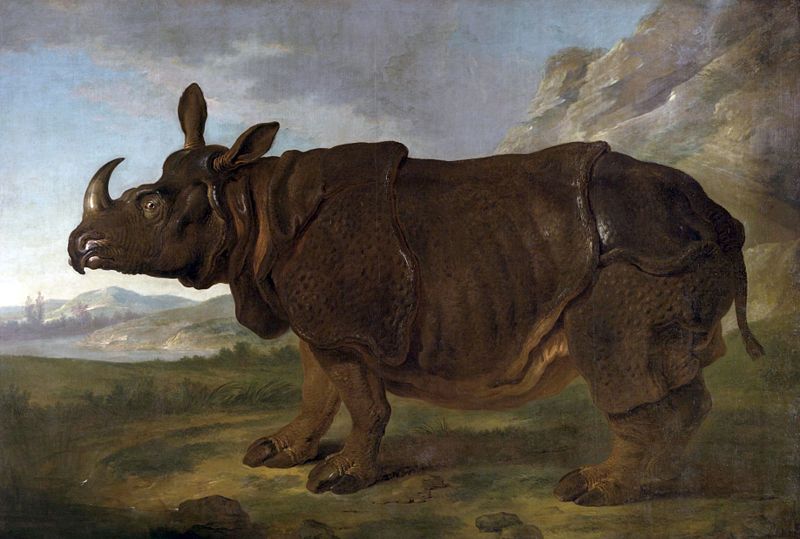 Jean Baptiste Oudry, "Clara"