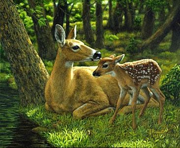 Crista Forest, "First Spring"